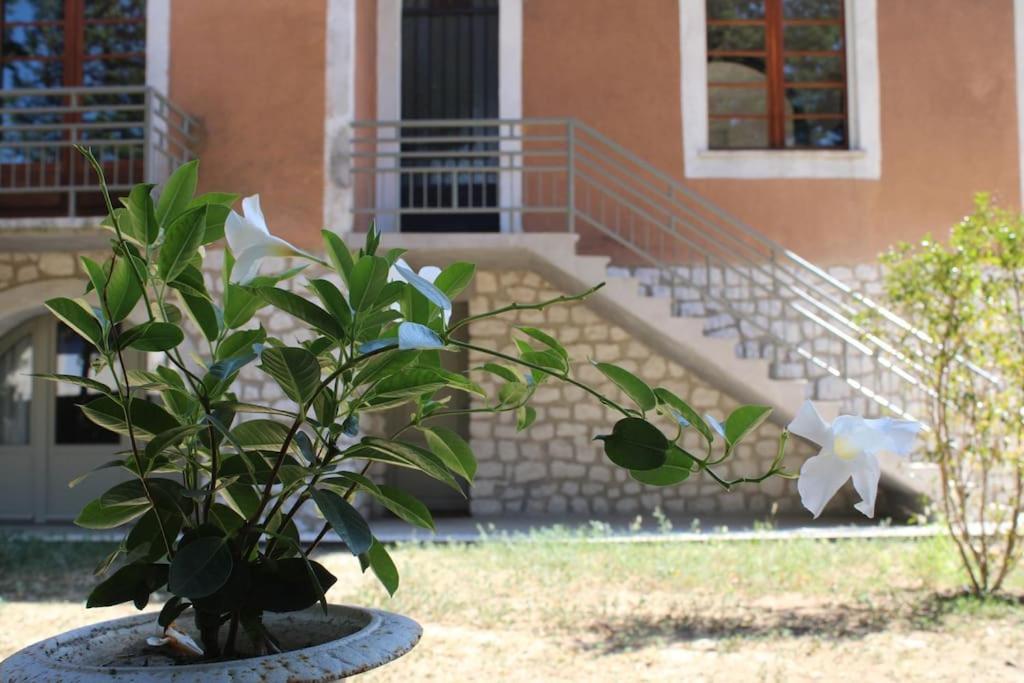 La Provencale Apartment Uzès Екстериор снимка